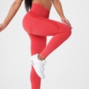 Authentic NVGTN Leggings .